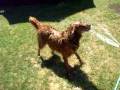 videos de Max + Water 2