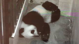 Smithsonian National Zoo