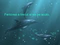 Poveste de dragoste plina de talc Poveste de dragoste plina de talc