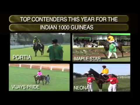 racing results cheltenham