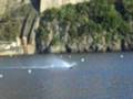 videos de Altra prova Lizard Marcello...nelle solite acque di Ischia Ponte!!!! scafi rc ischia