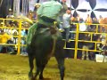 LATIGO NEGRO VS RUSO DE ZAPATA LATIGO NEGRO VS RUSO DE ZAPATA