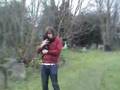Affenpinscher