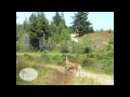 Bandon Crossings Golf Course Pictorial Overview