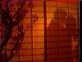 Debrah Farentino video 2
