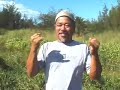 The Story of the Haleiwa Sign: Hawaii Surf Session Report
