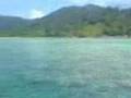 Coral Reef Natuna Island