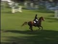 Gyron - C.I.S.S.E. - 30 settembre 2006 - CSI***