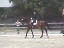Linda Oliver Dressage