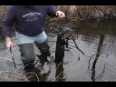 2008 otter trapping - 2