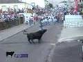 Tourada - Terceira - Acores
