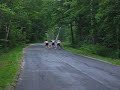 Climb To Mountain Top Roller Ski Race