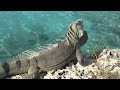 Bonaire