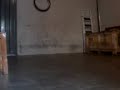 buny spin