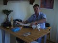 The Dorn Method Spynamics Sacro Aligner Part 1