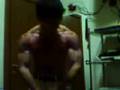 videos de mister muscolo