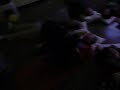 Meditazione della Risata.MOV