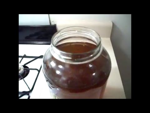 how to make kombucha