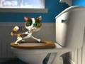 whiskers prankster