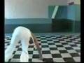 videos de capoeira Mestre Paulo