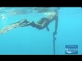 Nelle acque della Grecia: Itaca