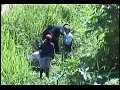 FIAZSUM - REFORESTACION JIPIJAPA