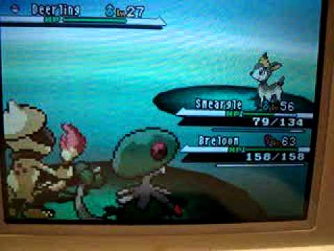 how to train smeargle