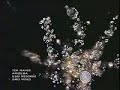 Video screenshot