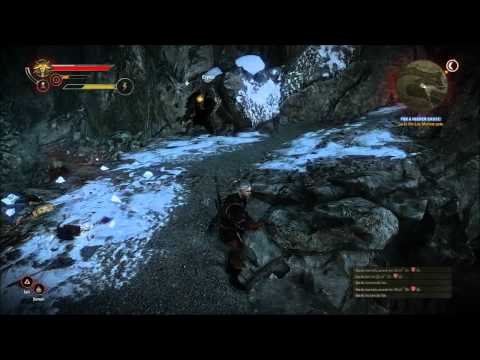 The Witcher 2 : Assassins of Kings