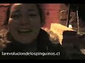 www larevoluciondelospinguinos cl