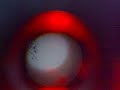 Bacteria in Tausi (PMS)