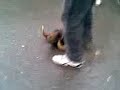 3ssila,,