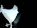 MELT SUN Track One Pt 1