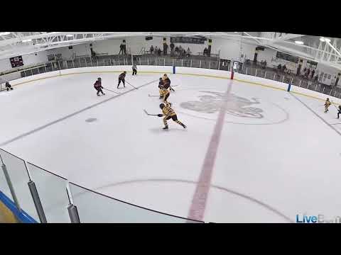 Zone to Zone Carry & Goal