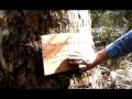 Campsite-Short-Film-