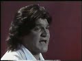 flamenco