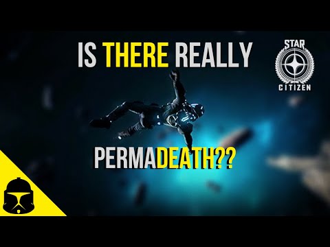 Star Citizen | Is there really Perma death?