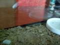 videos de Terrário - Lacraia Gigante