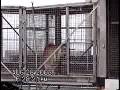 How Ringling Abuses Tigers
