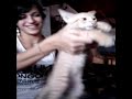 Gato bailar�n
