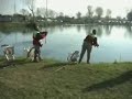 Trota lago: gara di pesca con i campioni della Top Team