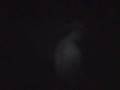 videos de blair witch XA