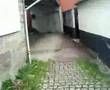 Litle ally in Vila Real de Traz os Montes