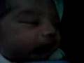 cua cilik