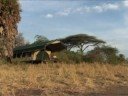Katavi Wilderness Camp