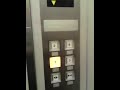 東京エレベーターガール