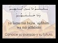 LA ALEYA DEL TRONO - AYATUL-KURSI ??? ??????