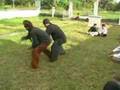 Sambutan Silek Beruang Agam