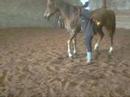 17 maii 2008 17 maii 2008