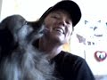 Dakota The Keeshond